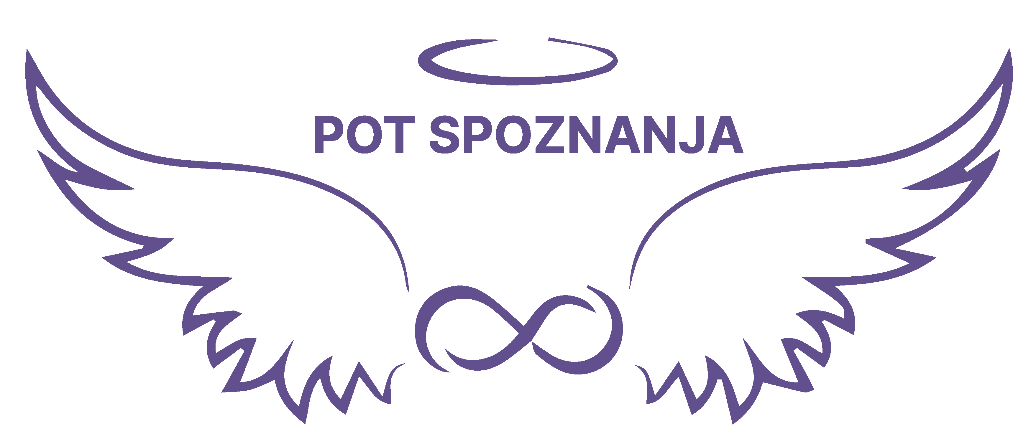 Pot spoznanja